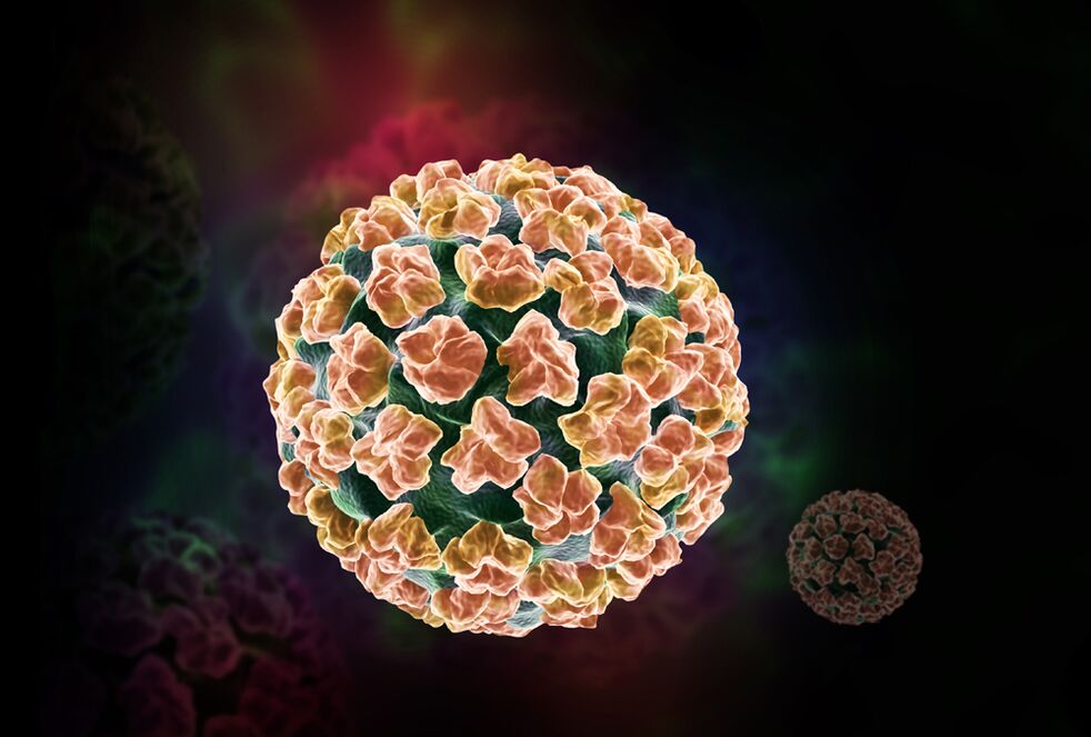 Human papillomavirus dalam badan